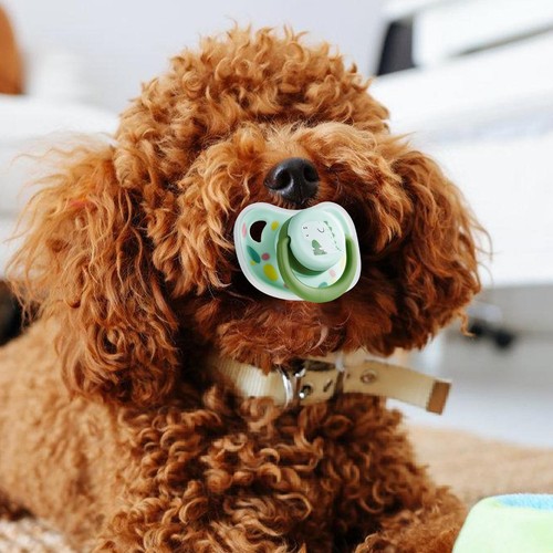 Dog Pacifier Squeak Chew Toy Chew Level Small Dogs Puppy Cats Cartoon Pacifier - Picture 11 of 15