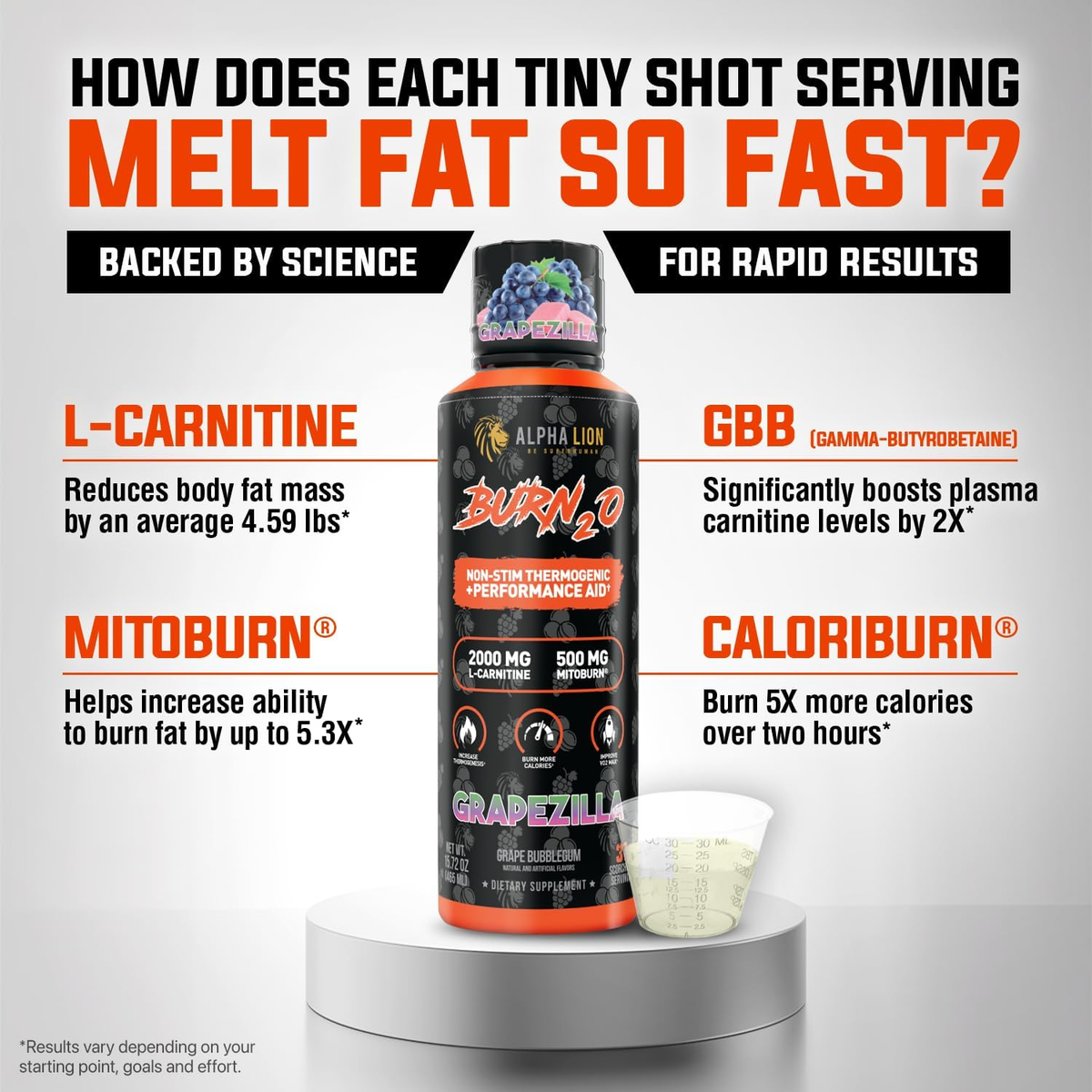 Burn2O L-Carnitine Liquid 2000Mg – Stim Free Super Thermogenic Fat Burner  with M