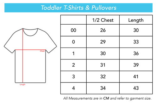 NRL Kids 'Chevron' Tee Shirt - Canberra Raiders - Baby Child T-Shirt - Picture 2 of 2