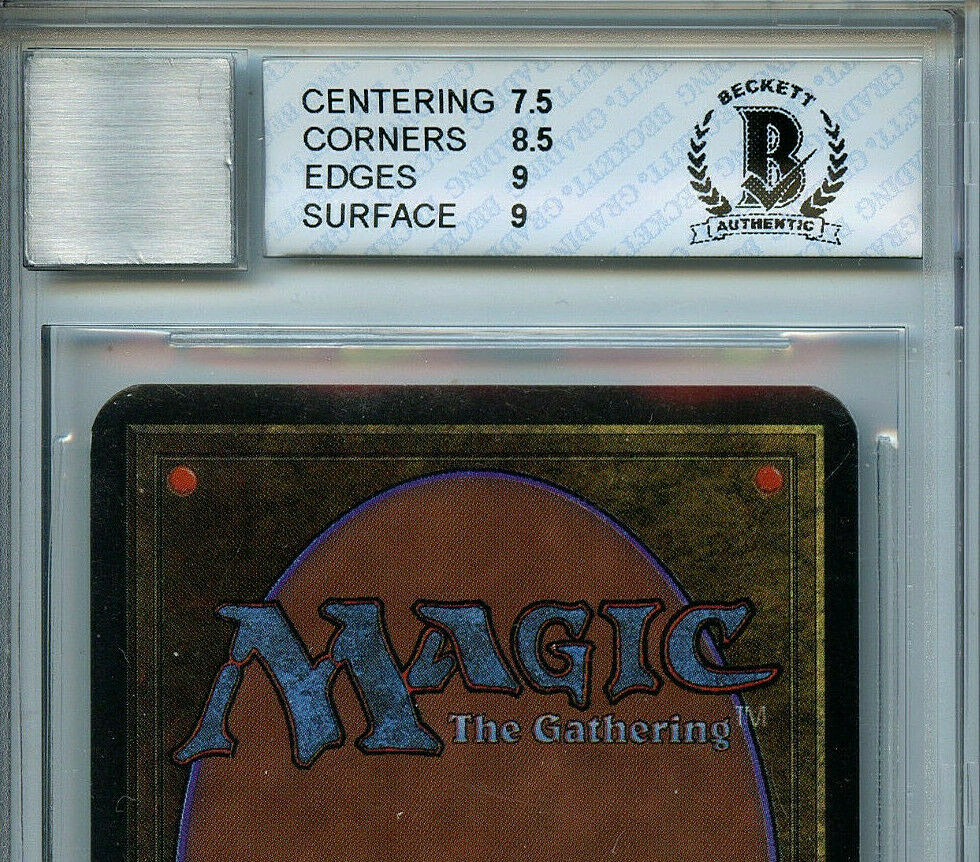 MTG 山 サマー PSA8 Taiga Summer Magic regular from Summer Magic / Edgar (SUM