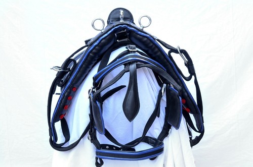 NYLONGURT FAHRGURT ZWEIFARBIG FÜR EINZELNES PFERD MIT SCHWARZER KOMBINATION - Bild 30 von 50