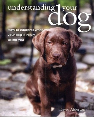 Understanding Your Dog