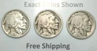 1925-P-D-S Buffalo Indian Head Nickel year set Philadelphia Denver San Francisco