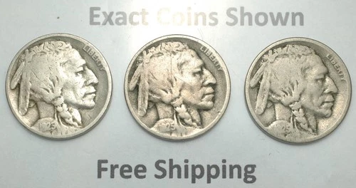 1925-P-D-S Buffalo Indian Head Nickel year set Philadelphia Denver San Francisco