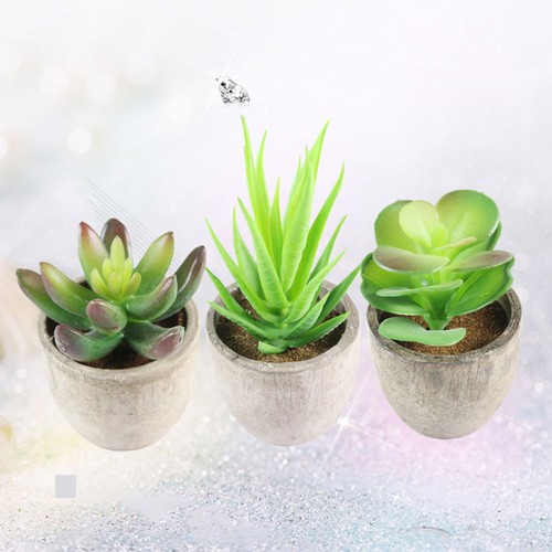 3 Stück Simulation Sukkulenten Bonsai Schreibtisch Deko kleine Kunstpflanzen - Bild 8 von 11
