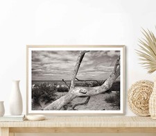 Mecklenburg Baltic Sea Coast Poster Premium Quality Choose your Size