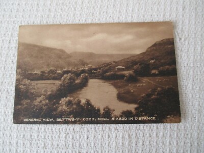 ALTE SEPIA POSTKARTE,'' GESAMTANSICHT, BETTWS-Y-COED, MOEL SIABOD IN FERNE ''.  