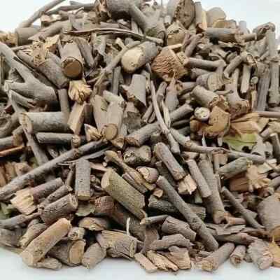 DR T&T Sang Ji Sheng 桑寄生 / Herba Taxilli / Ramulus Taxilli Trockenkraut 100g