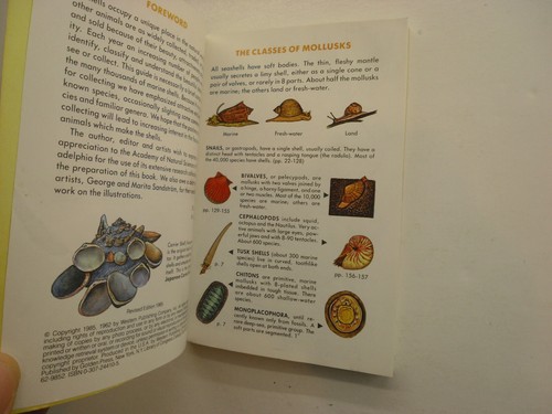 Seashells of the World, Tucker Abbott Golden Paperback, 1985 - Picture 6 of 7