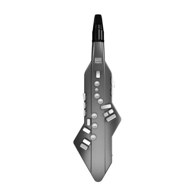 Roland Aerophone GO Digital Wind Instrument