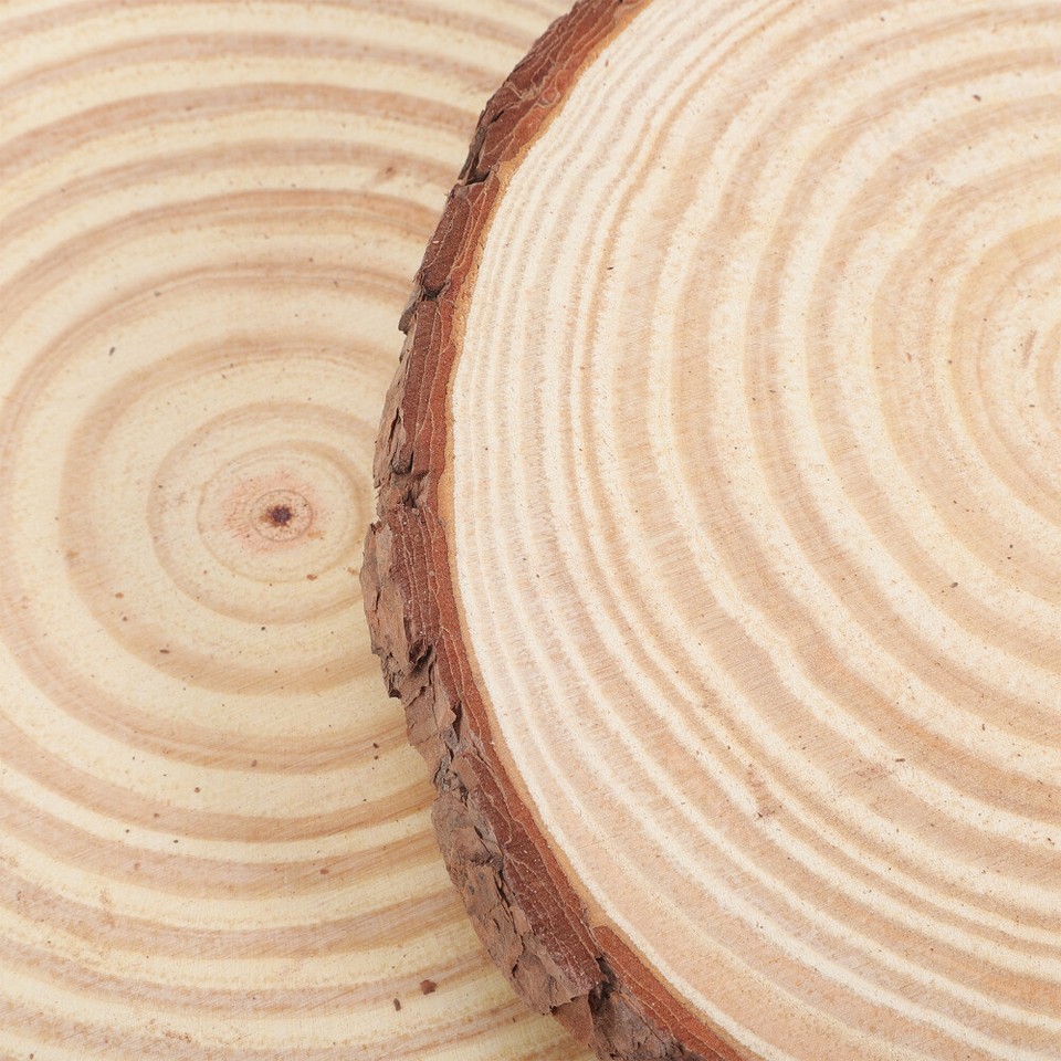 2 Pcs Stepping Stones Garden Outdoor Patio Lawn Flower Pot eBay