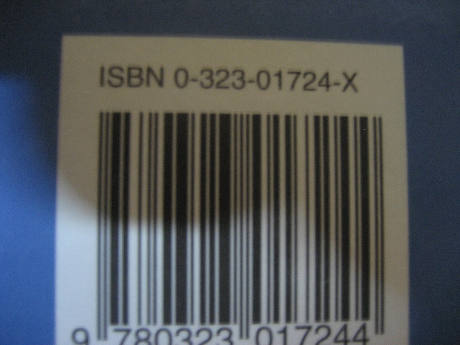 Picture 4 of 7
