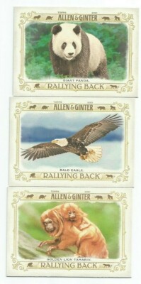 RALLYING BACK 2021 TOPPS ALLEN & GINTER LOT OF SIX (6) FULL-SIZE INSERTS