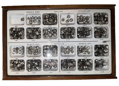 Unitek Molars 2 Boxes Of Primary 2nd Molar And 1 Box Of Primary Molars Crowns