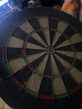 Websters Standard Dart Board Classic Design Metal Edge