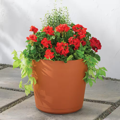 plant pot 10 inch D'vine Dev