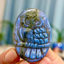 26G Natural Beautiful Labradorite Crystal Hand-Carved Owl Healing Decor