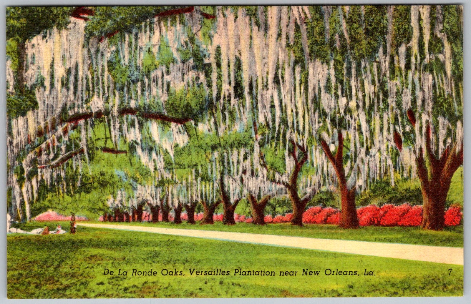Vtg Postcard DE Ronde Oaks New Orleans, LA 1930s