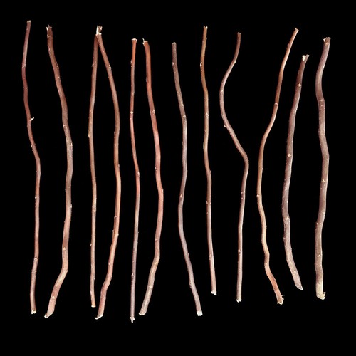10Pcs Wooden Sticks Natural Branch Willow Tree Branch DIY Wedding Decor Supplies - 第 7/13 張圖片
