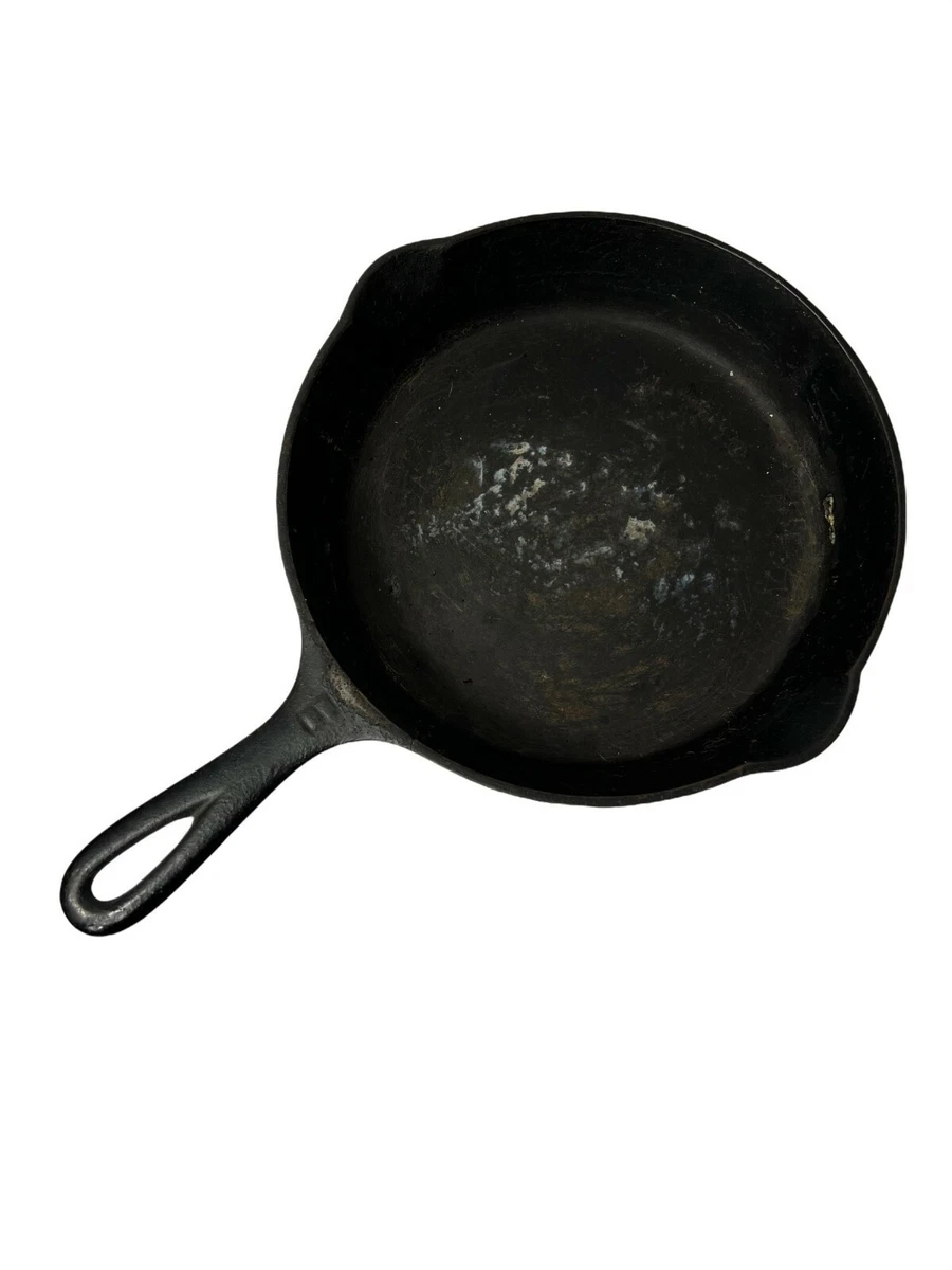 Large cast iron skillet deals