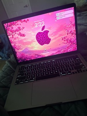 Apple MacBook Pro 13in (512GB SSD, Intel Core i5 10th Gen., 2GHz, 16GB) Laptop -