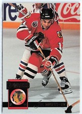 1993-94 Donruss #66 Joe Murphy - Chicago Blackhawks