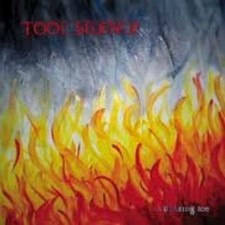 Tool Silence Blazing Ice (Vinyl)