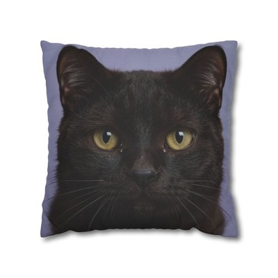 Black Cat Pillow Cover   Big Eye Realistic Kitty Art for Cat Lovers