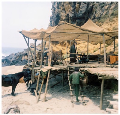Roddy Mcdowall Kim Hunter Zira Planet Of The Apes 10x10