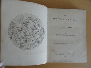 the water babies first edition