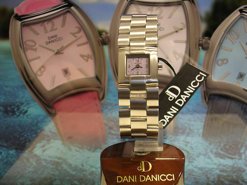 Montre pour Femme Dani Danicci Boîtier Acier Inoxydable et Bracelet