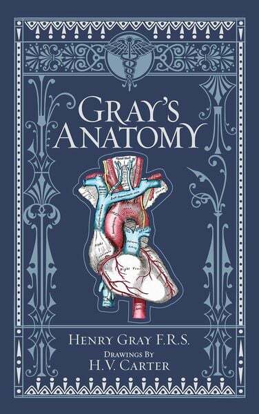 Thumbnail - Gray's Anatomy (barnes & Noble Collectible Classics: Omnibus Edition)