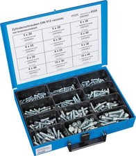 Valigetta assortimento GESIPA viti esagonali interne zincate