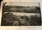 Picture 10 of 21