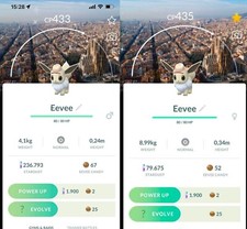Shiny Eevee wearing an explorer hat Barcelona background costume - TRADE