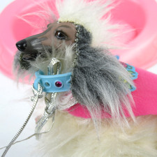 Vintage Barbie Hund Dog Beauty Afghane Mattel 1979 + Access - Miss a leg
