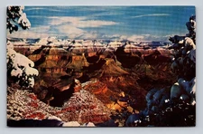 Vintage Grand Canyon AZ Winter Snow Mike Roberts Chrome Postcard Fred Harvey