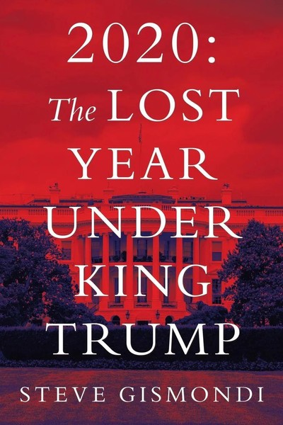 2020 The Lost Year Under King Trump Steve Gismondi Taschenbuch Englisch 2021-image