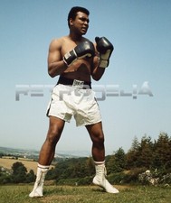 Muhammad Ali 10 x 8 Photograph