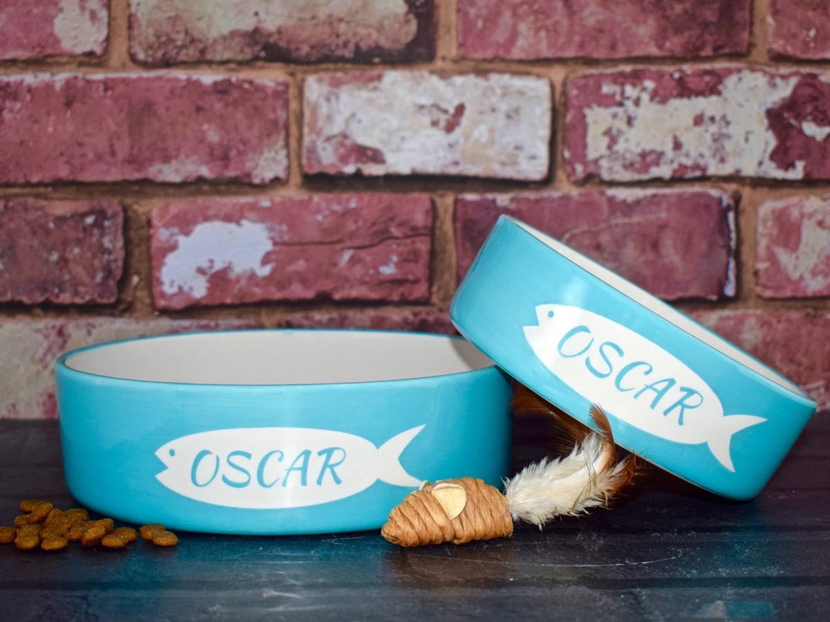 Personalised Ceramic cat bowl set hand painted bowl set kitten