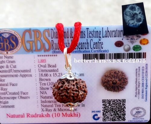 10 Mukhi Rudraksha / Ten Face Rudraksh Pendant -Java Bead Size -18-20 MM - Lab - Picture 1 of 2