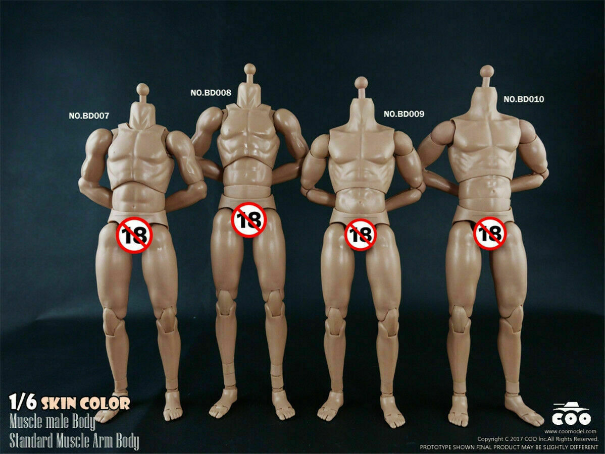 1/6 Hot Toys COOMODEL Male Flexible Body Fit 12
