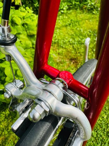 Colnago Nuovo Mexico - Bild 13 von 22