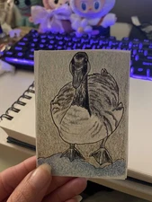 ACEO  original duck color pencil drawing 