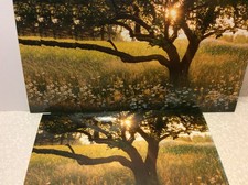 AVANTI SYMPATHY GREETING CARDS New w/envelopes LOT 5 "LOVING MEMORIES"  SALE 