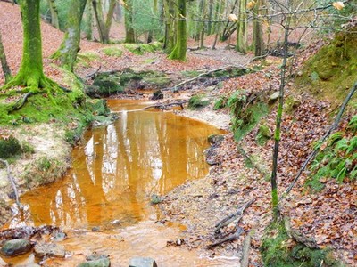 Photo 6x4 Iron-coloured stream in the Millbrook Valley Ford's Green/TQ44 c2016