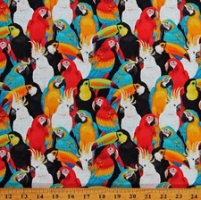 Cotton Parrots Macaws Toucans Cockatoos Birds Fabric Print by the Yard D787.07