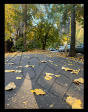 Digital Image Picture Wallpaper Background Desktop - Kazakhstan Fall