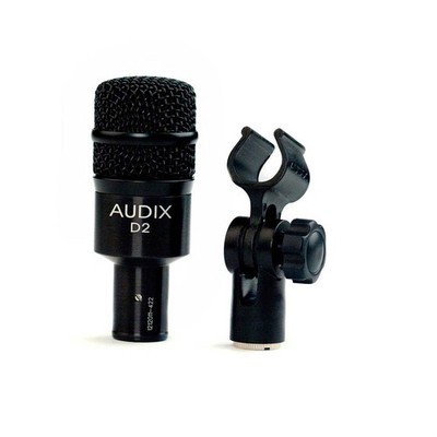 Audix D2 Dynamic Hypercardioid Instrument Microphone