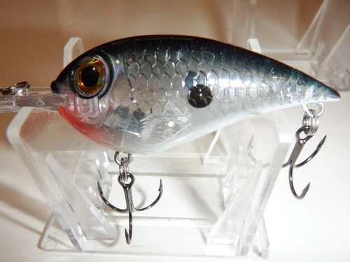 Rapala DT Crankbait Black/Silver Glass (9 to 10 ft)